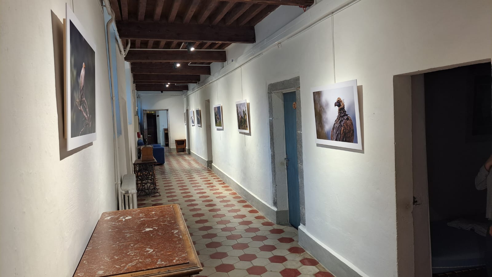 Exposition à Ste Croix